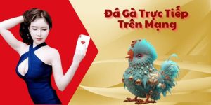 đá gà trực tiếp xin88